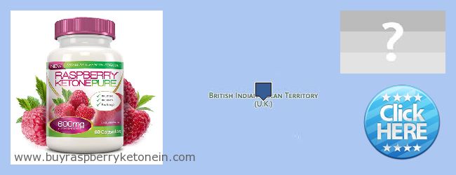 Dove acquistare Raspberry Ketone in linea British Indian Ocean Territory